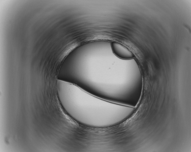 X0000097291241200802151051