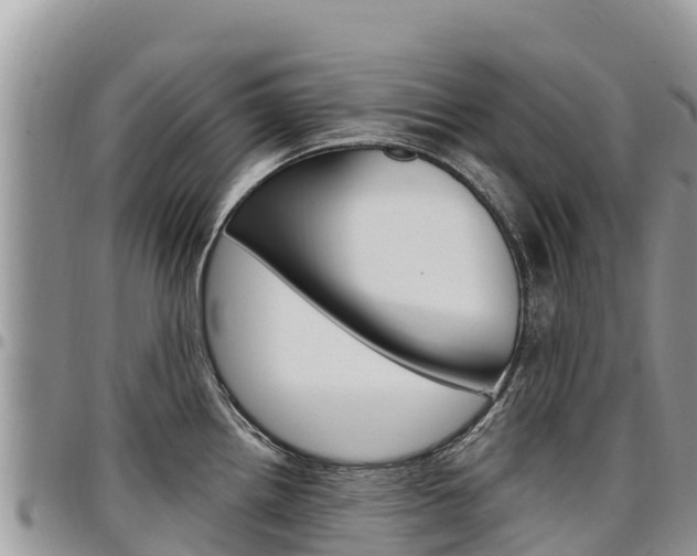 X0000097291242200802151051