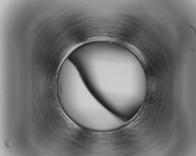 X0000097291244200802151051