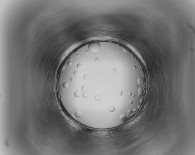 X0000097291245200802151051