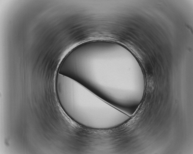 X0000097291246200802151051