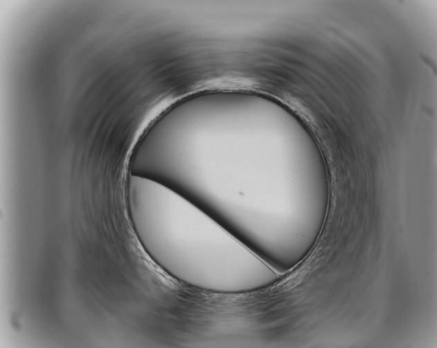 X0000097291248200802151051