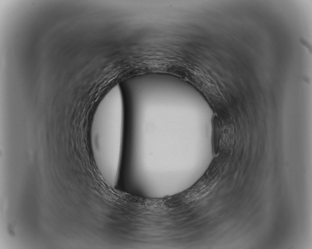 X0000097291249200802151050
