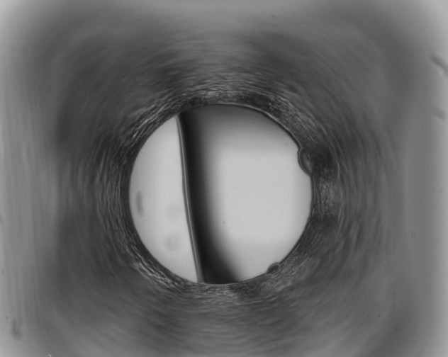 X0000097291250200802151050