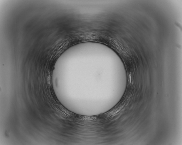 X0000097291251200802151050