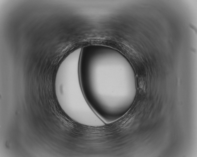 X0000097291252200802151050