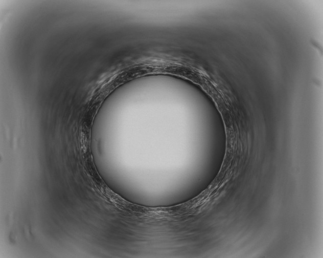 X0000097291253200802151050