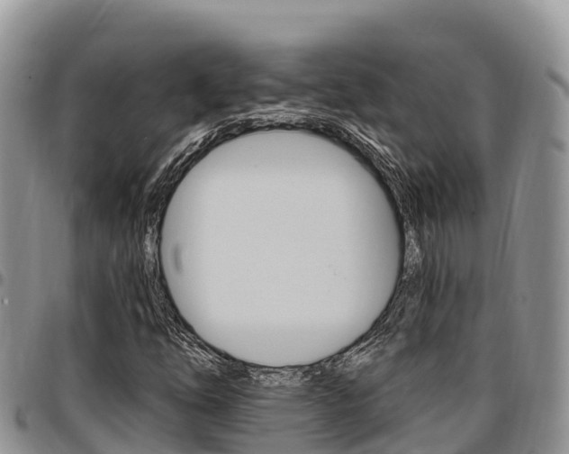 X0000097291254200802151050