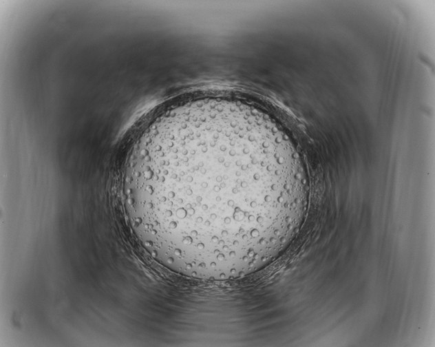 X0000097291255200802151050