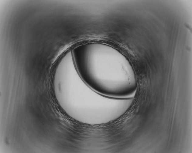 X0000097291256200802151050