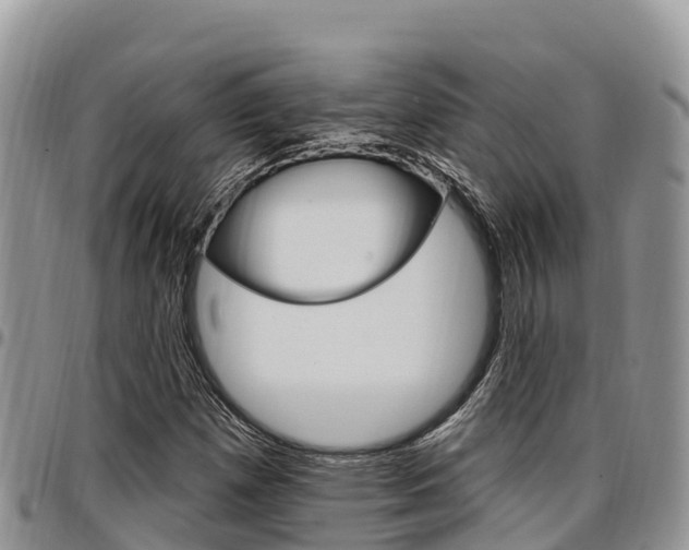 X0000097291257200802151050