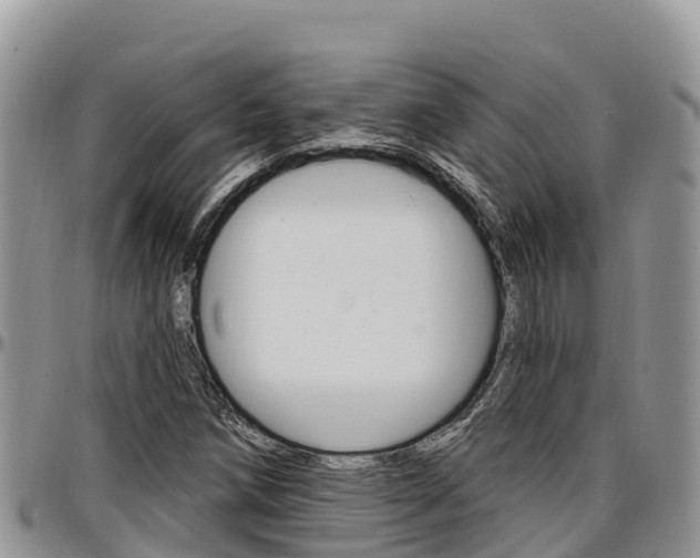X0000097291258200802151050