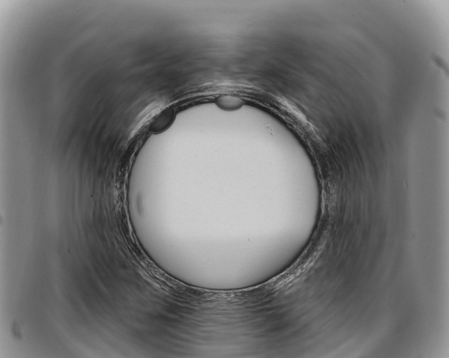 X0000097291259200802151050