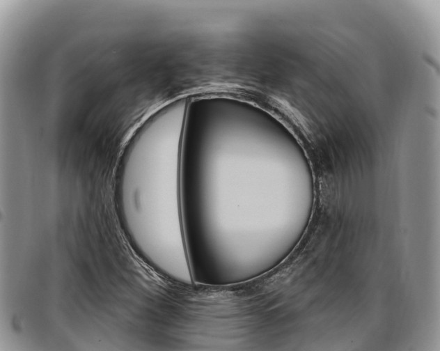 X0000097291260200802151050