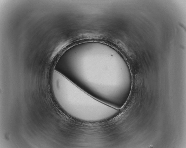 X0000097291261200802151050