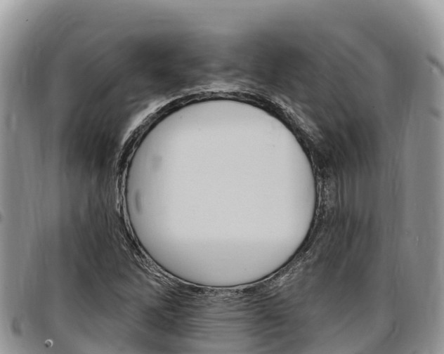 X0000097291262200802151050