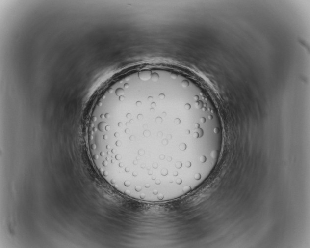 X0000097291263200802151050