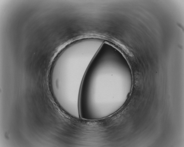 X0000097291264200802151050