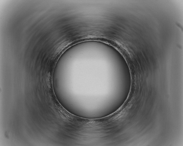 X0000097291265200802151050