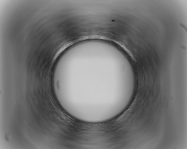 X0000097291266200802151050