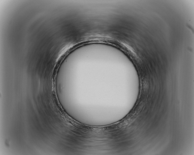 X0000097291267200802151050