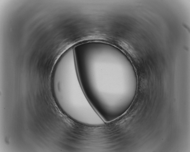 X0000097291268200802151050