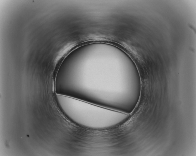 X0000097291269200802151050