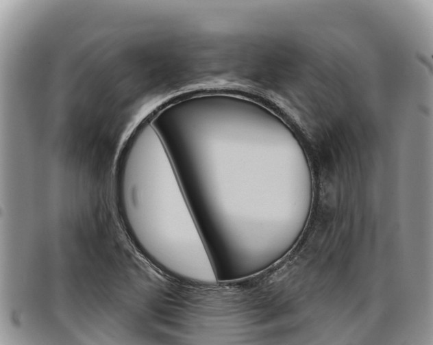 X0000097291270200802151050