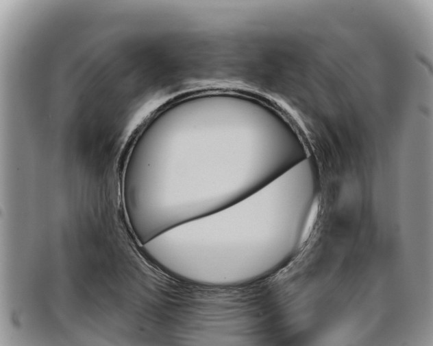 X0000097291271200802151050