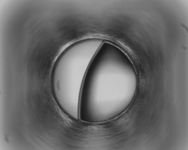 X0000097291272200802151050