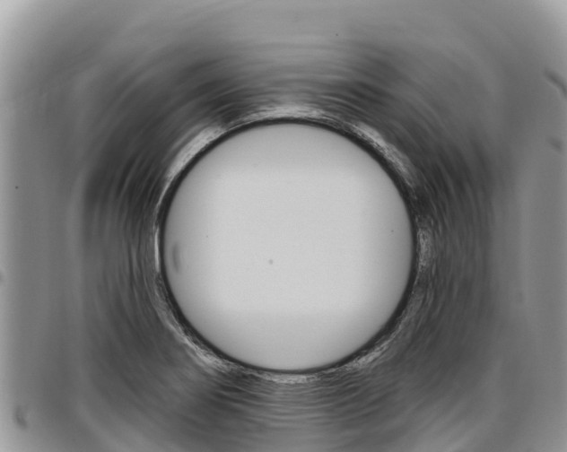 X0000097291274200802151050