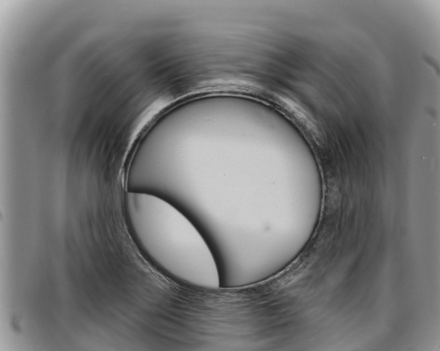 X0000097291275200802151050