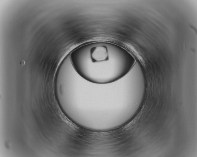 X0000097291276200802151050