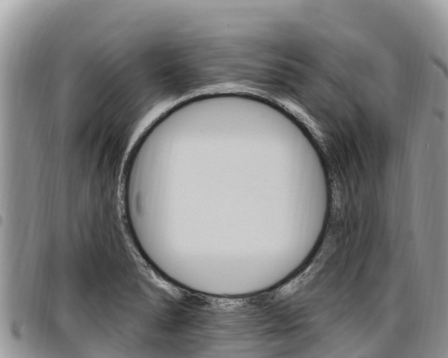 X0000097291278200802151050