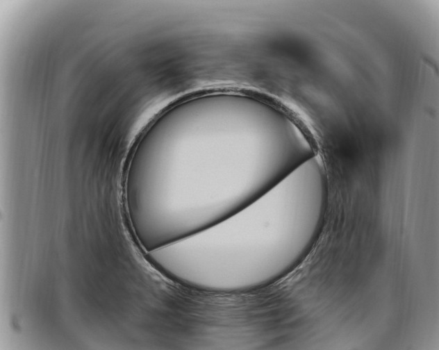X0000097291279200802151050