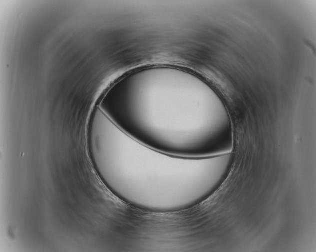 X0000097291280200802151050