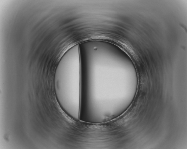X0000097291281200802151050