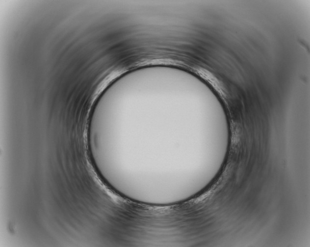 X0000097291282200802151050