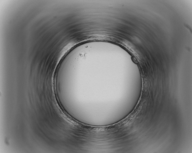 X0000097291283200802151050