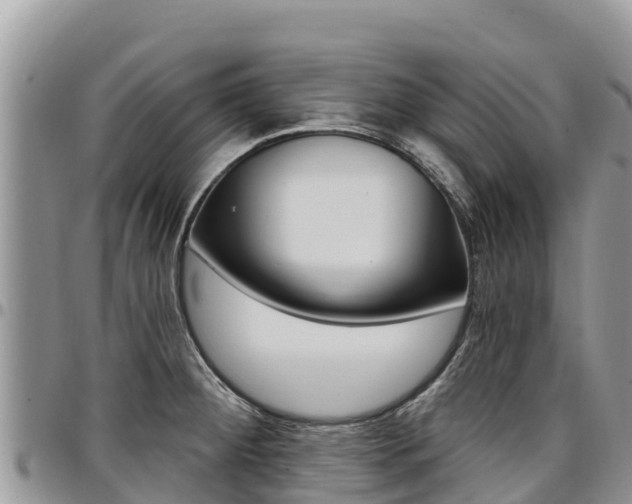 X0000097291284200802151050