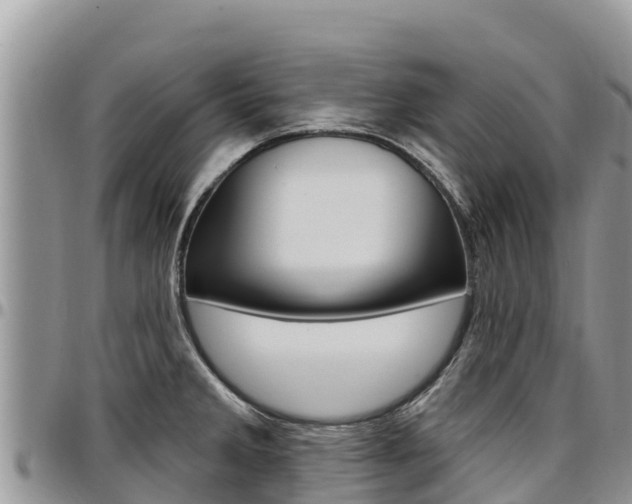 X0000097291285200802151050