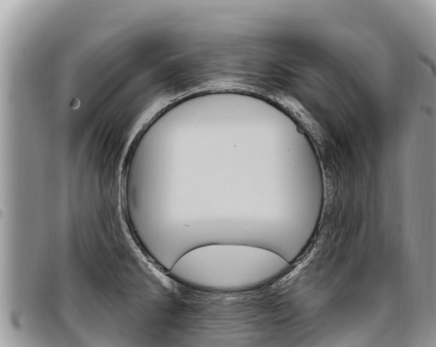 X0000097291286200802151050