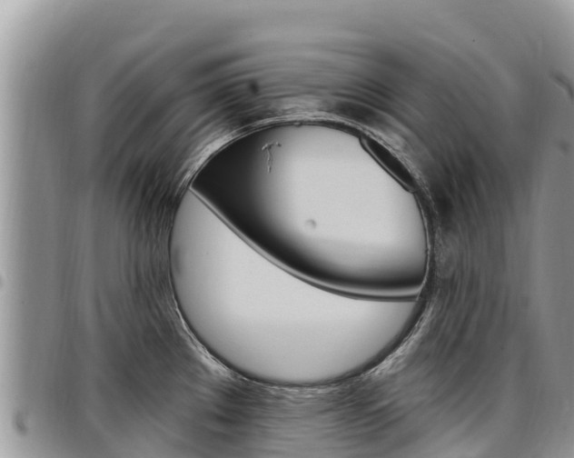 X0000097291289200802151050