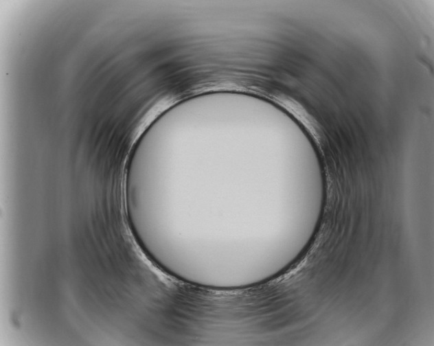 X0000097291290200802151050