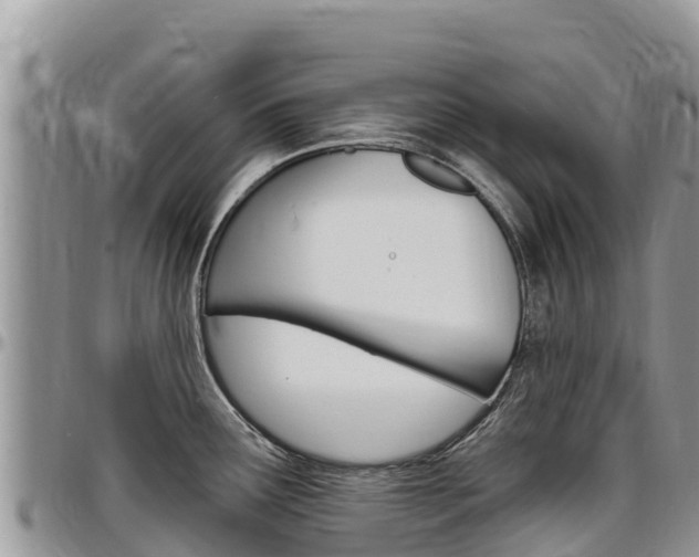 X0000097291291200802151050