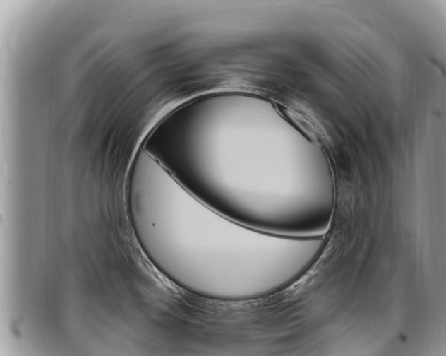 X0000097291292200802151050