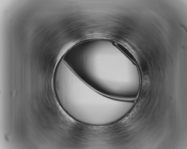 X0000097291293200802151050