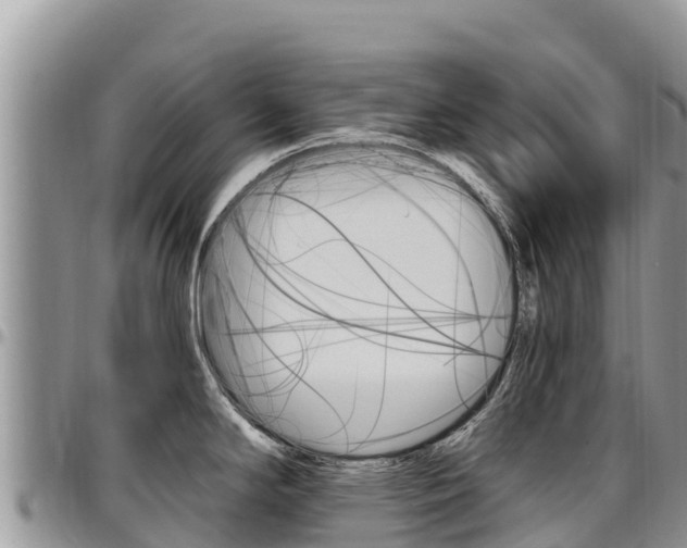 X0000097291294200802151050