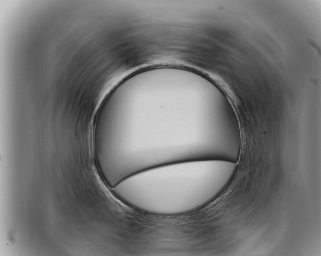 X0000097291295200802151050