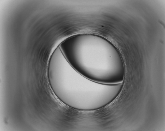 X0000097291296200802151050